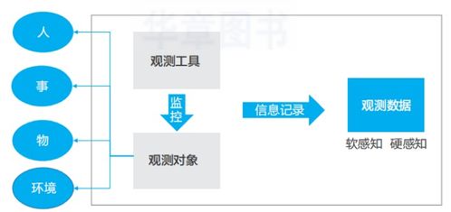 數據服務分類概述及其在數據處理中的應用